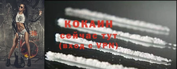 спиды Каменка