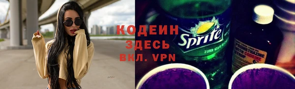 спиды Каменка