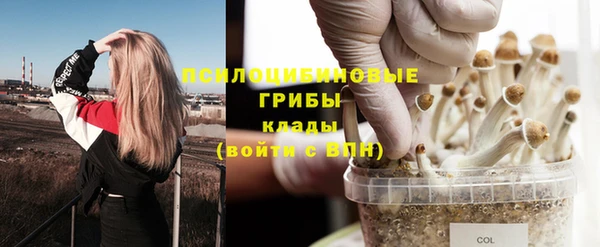 хмурый Новый Уренгой